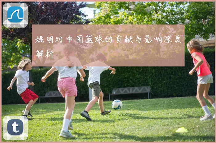姚明对中国篮球的贡献与影响深度解析